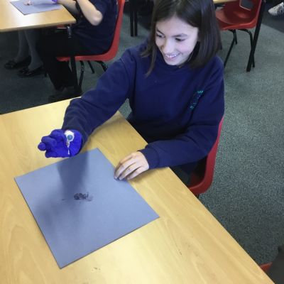 Y6 Eye Dissection